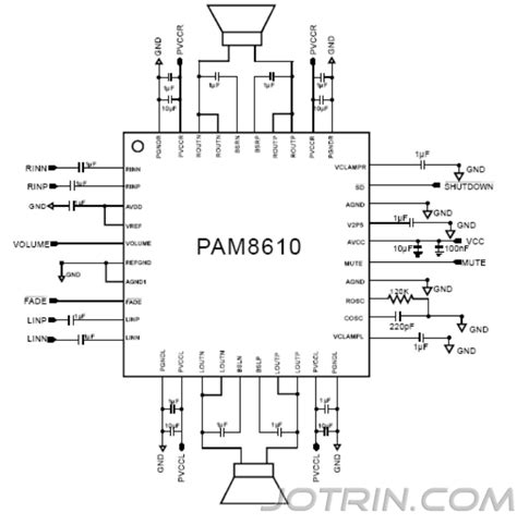 pam8610 module